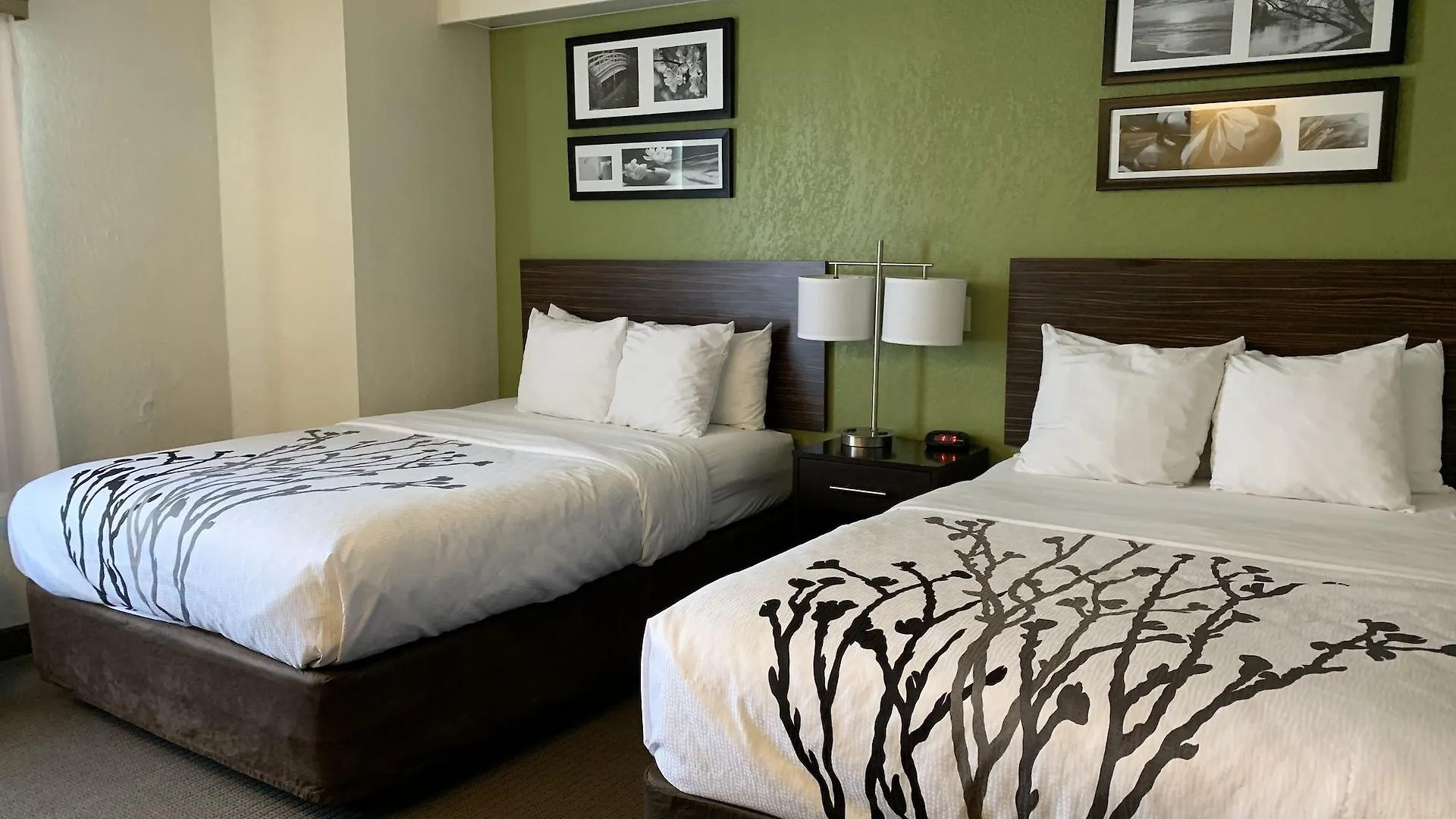 Sleep Inn Louisville Airport & Expo